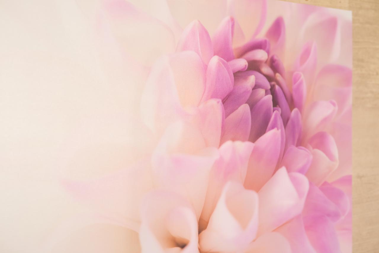 Fudanoya 호텔 교토 외부 사진